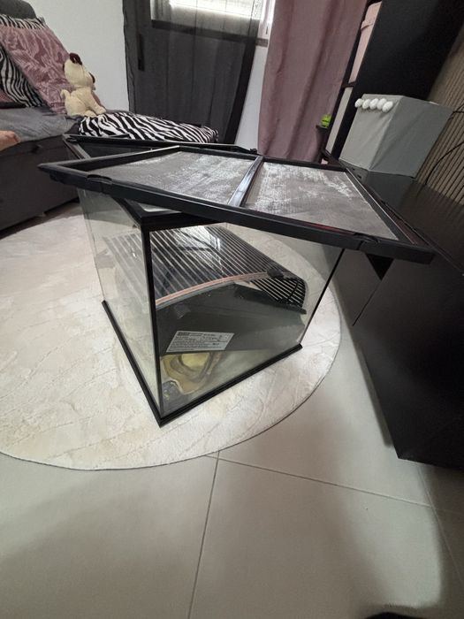 Terrário de Vidro