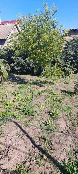 Продам дом у моря, в Фонтанке.