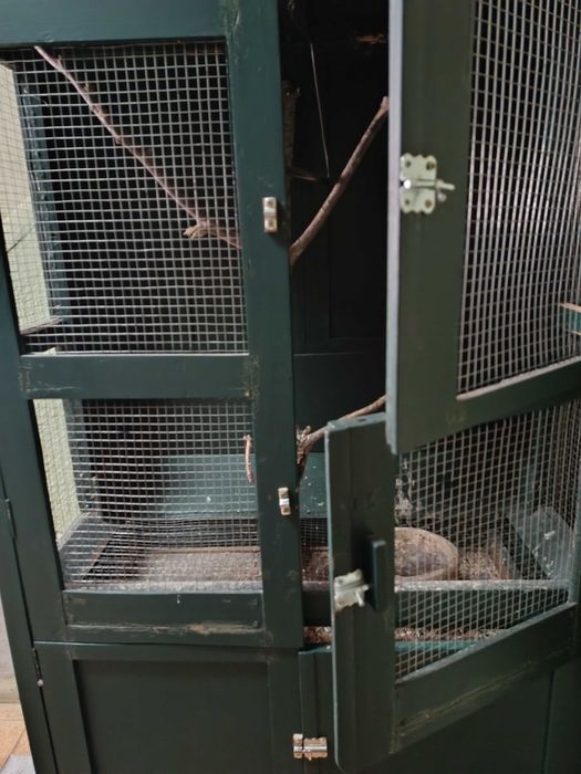 Gaiola para pássaros