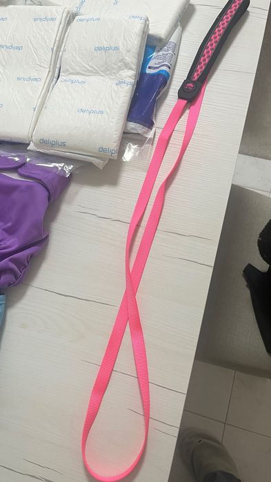 Conjunto para Cães | Acessórios+Higiene|Trela, Coleira, Fraldas & Mais