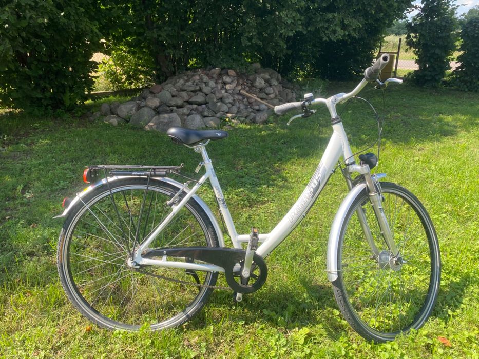 Rower treningowy Pegasus
