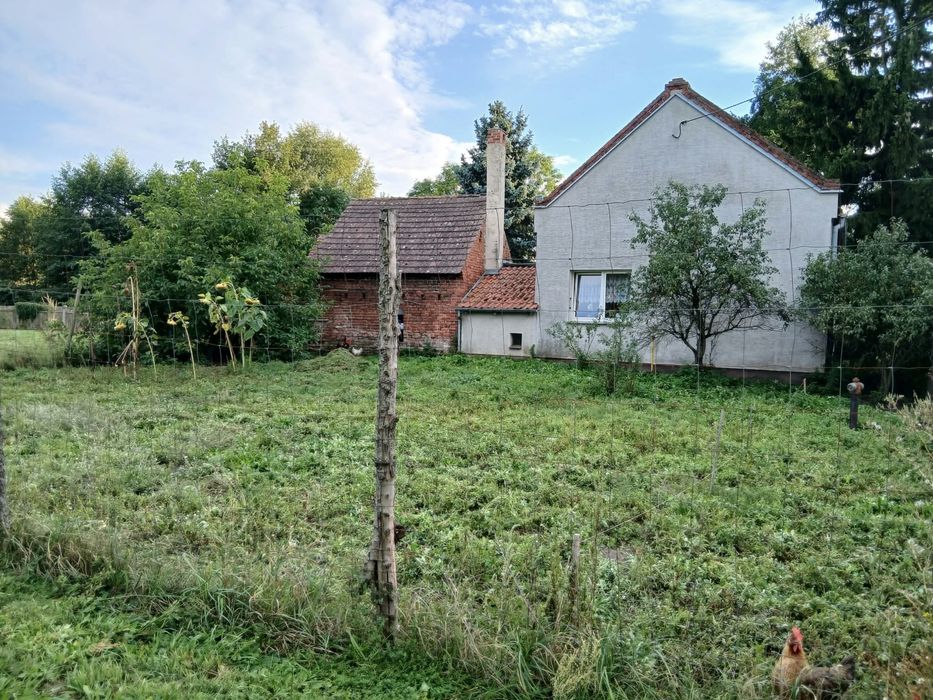 Dom – Chrząstawa Mała, powiat wrocławski - Widok 4