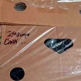 Descartáveis: copos, taças, tijelas