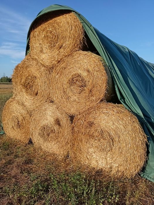 Słoma, Siano bele