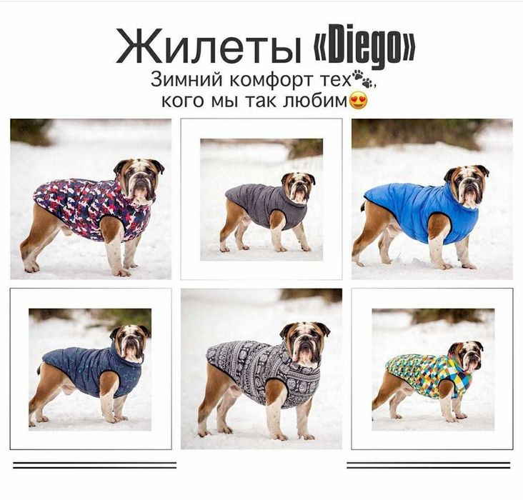 Комбинезон и Жилеты "ДИЕГО",  удобно одевается, застёжка сверху.