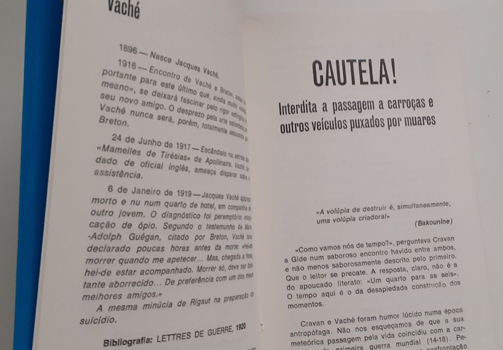 3 Histórias/ Cravan/ Rigaut /Vache