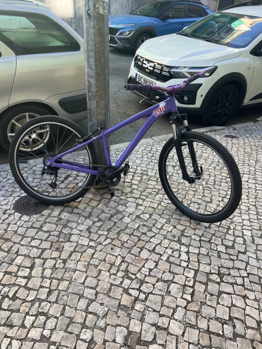 Rockerider roxa