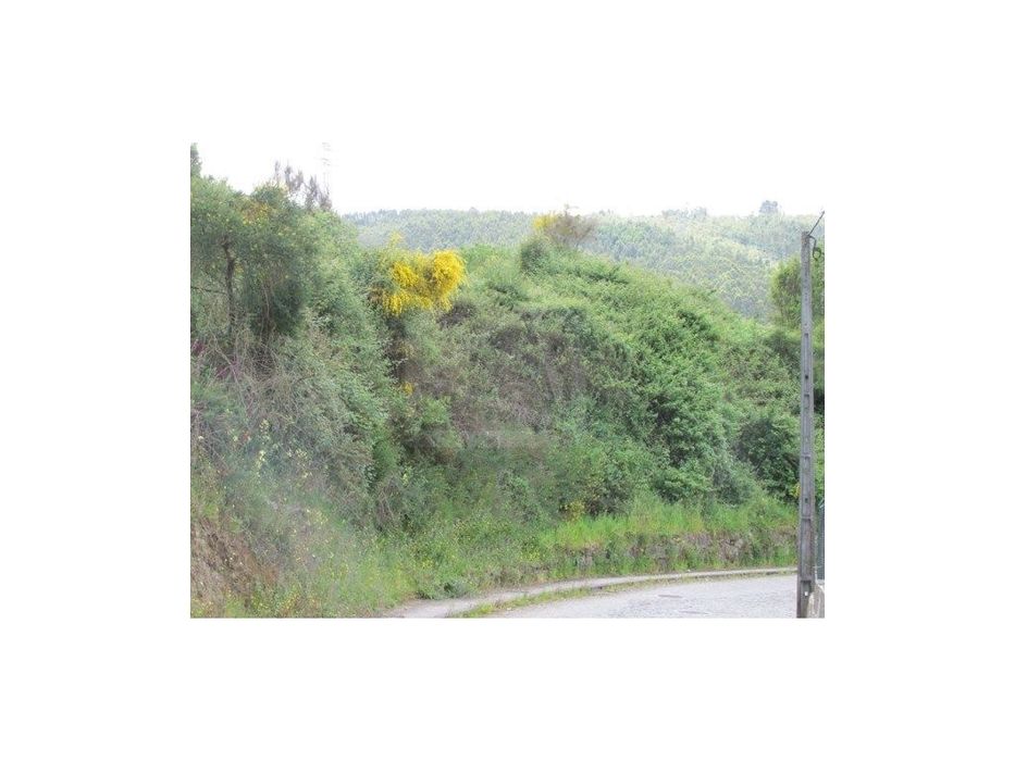 Terreno Urbano em Santo Tirso