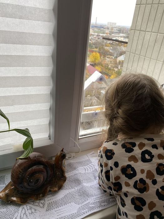 Годівничка для птахів на скло