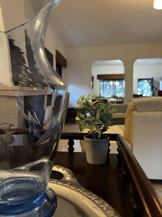 Suite em moradia com jardim