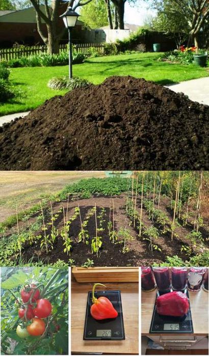 CZARNOZIEM CZYSTA ZIEMIA OGRODOWA siana Koparka humus dostawa Trawnik