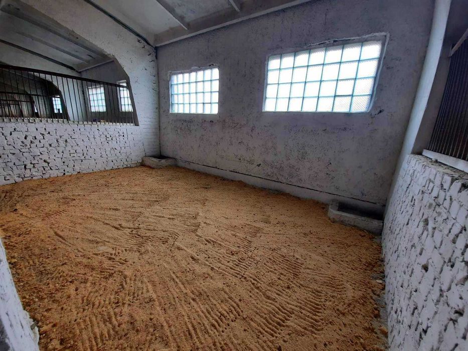 Постій коней та оренда денників у КСК «Юкон» (Харків)