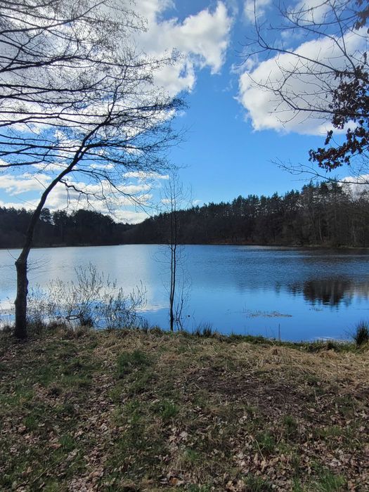 Dom na wsi do remontu na sprzedaż, jezioro, duża działka, cisza, wieś