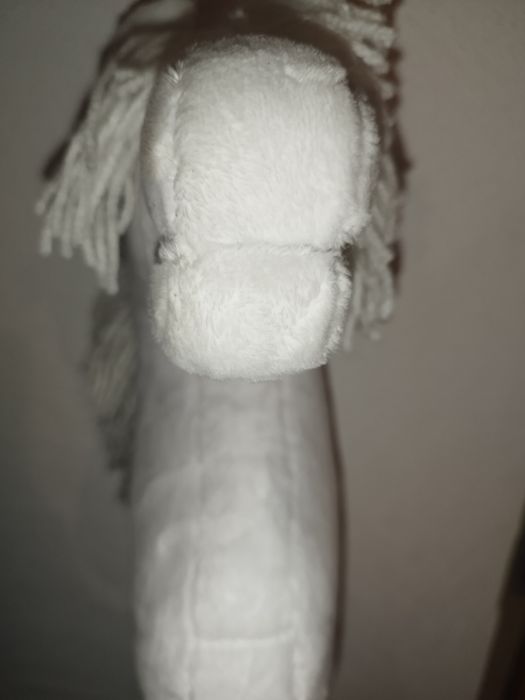 Hobby horse sport