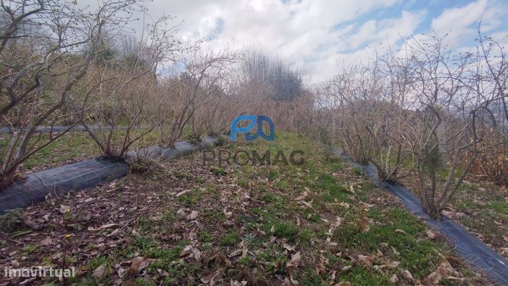 Terreno Urbanizável de 7959 m² com Armazém