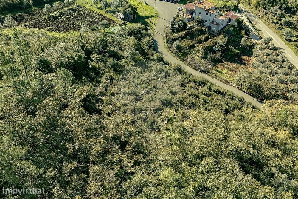 Terreno  para venda