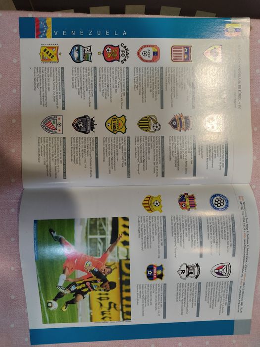 Guia de clubes sul americanos 1 liga 2010/11