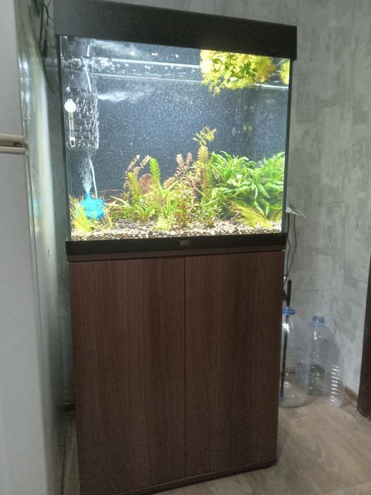 Продам аквариум JUWEL 120л с тумбой, крышкой, светом