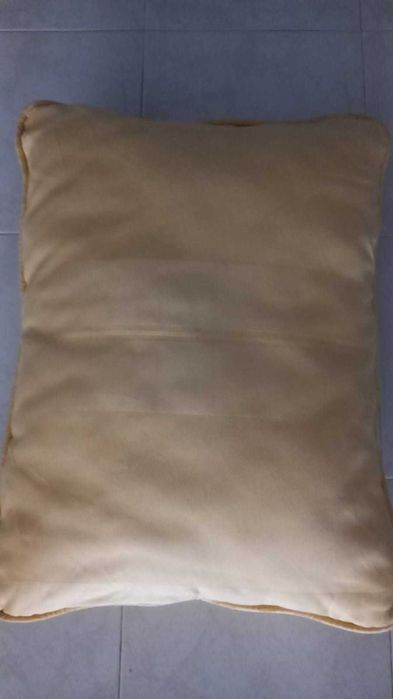 2 almofadas decorativas (64 x 48)
