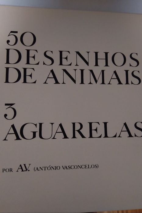 50 Desenhos de Animais
