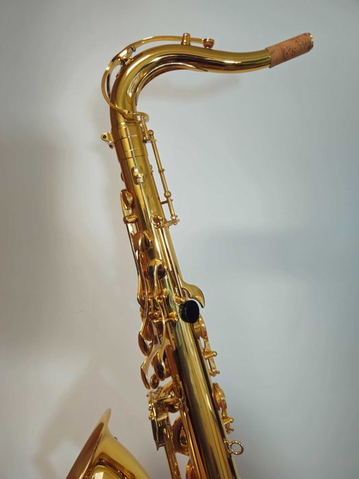 Saxofone Tenor NOVO Eastman ETS223