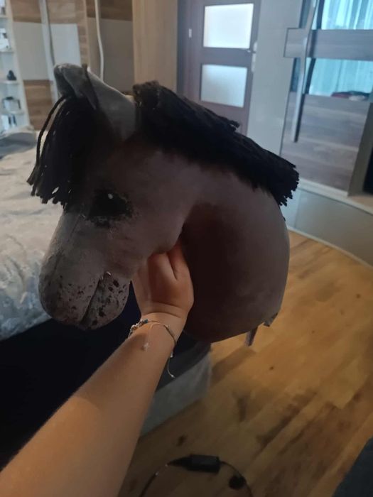 Hobby horse a4, konik na kijku