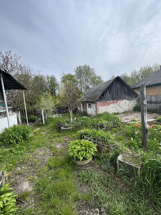 Продам добротний будинок у селі Макишин, недалеко від р. Снов