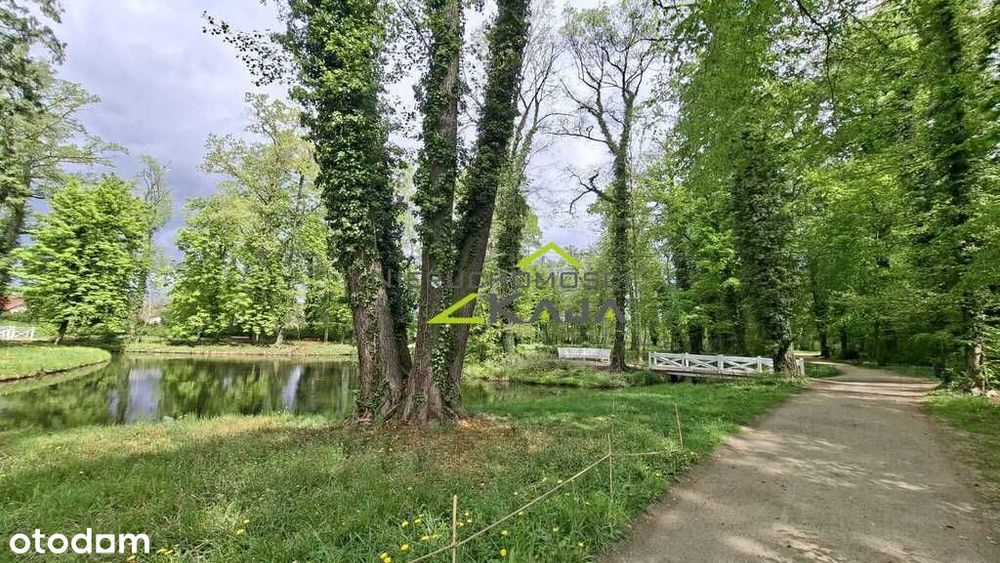 Działka w Zatoniu