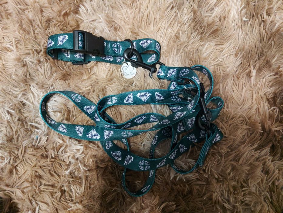 Obroża + smycz firmy Royal Pet/Royal Vision dla psa Diamond Peacock