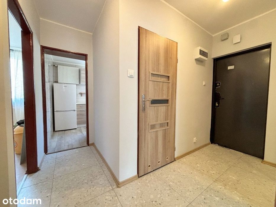3 pokoje nad morzem - od zaraz - bez mebli