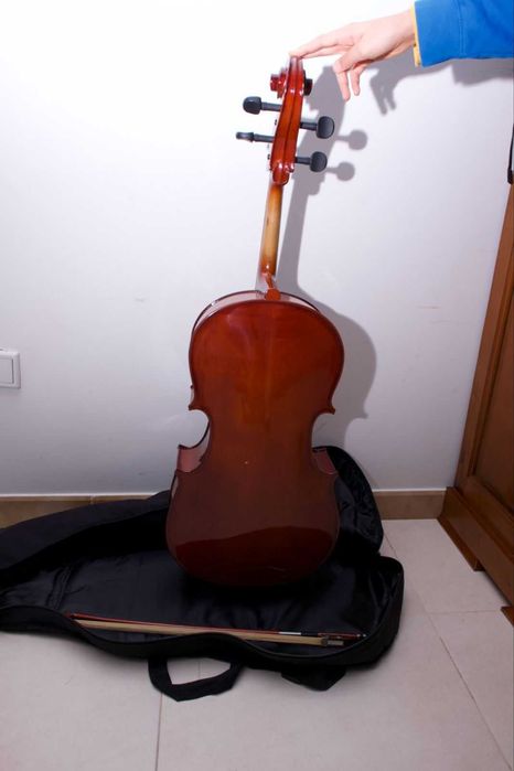 Violoncelo e arco