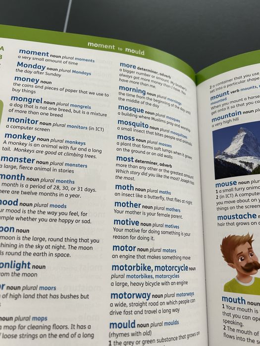Oxford junior illustrated dictionary