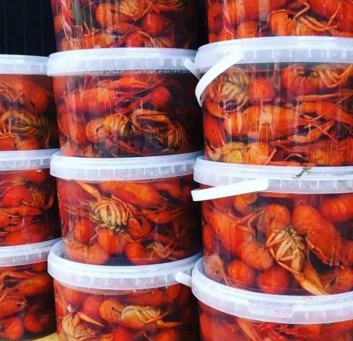 Продам живий рак свіжий оптом