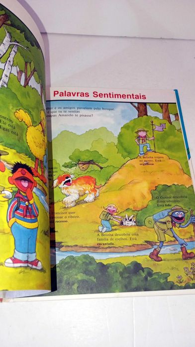 Quem sou eu? Livro da Rua Sésamo