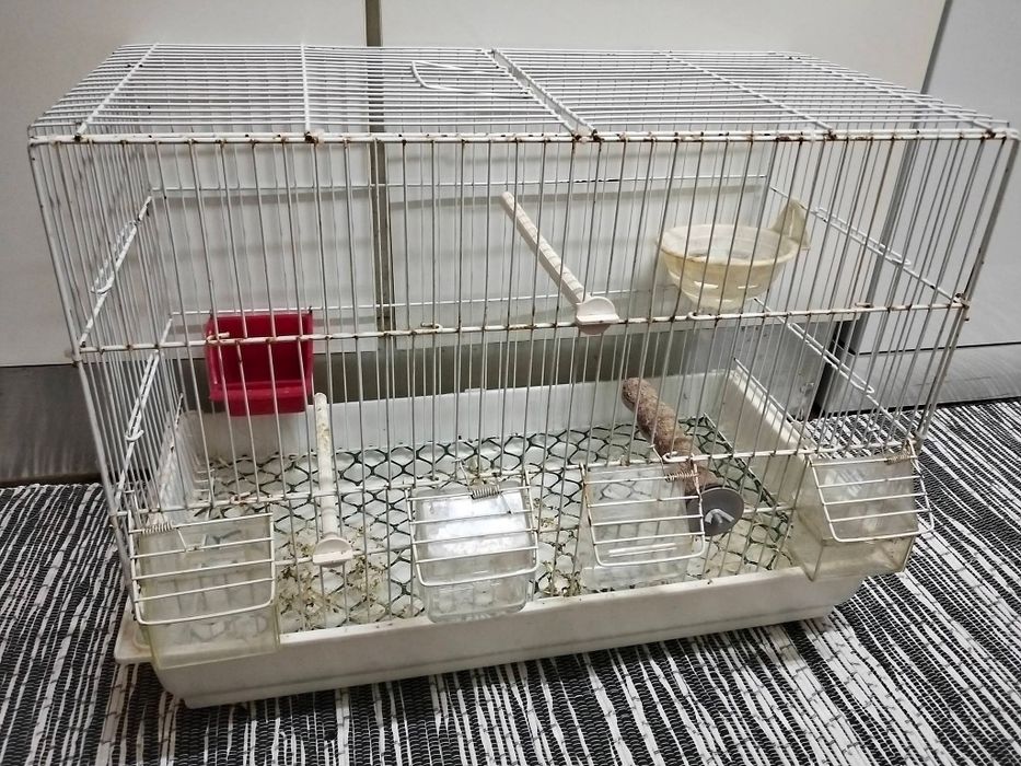 Troco por peixes camarões e plantas