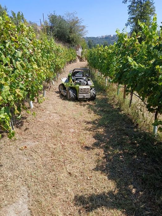 Limpezas Terrenos Florestais e Agrícolas