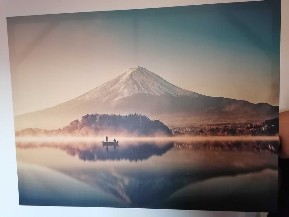 Telas variadas em muito bom estado64750928186881121