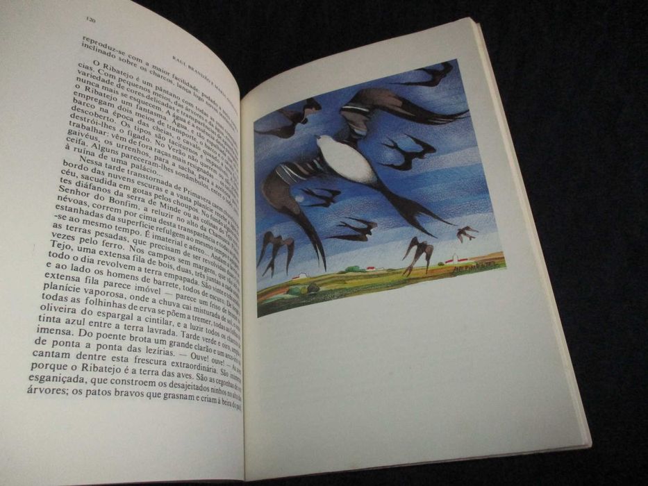 Livro Portugal Pequenino Raul Brandão Vega 1985