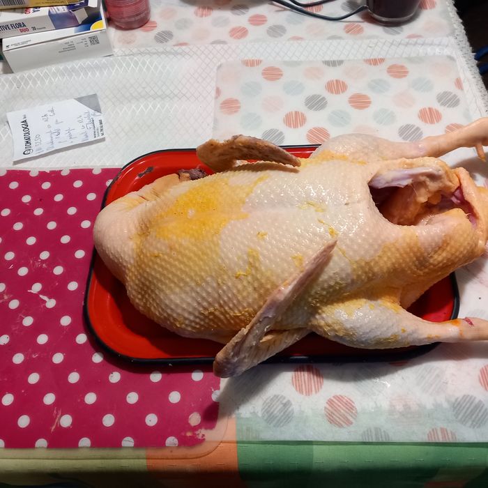 Tuszki kaczek Pekin