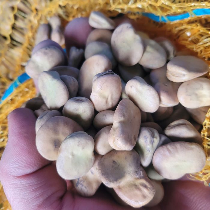 Bób 5kg Bizon SUPER JAKOŚĆ