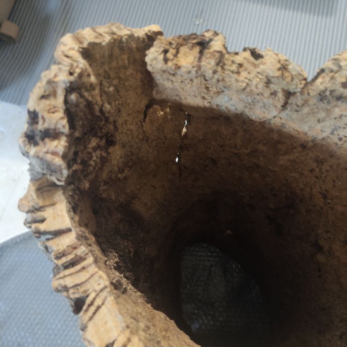 Kora do terrarium. Mega duża.