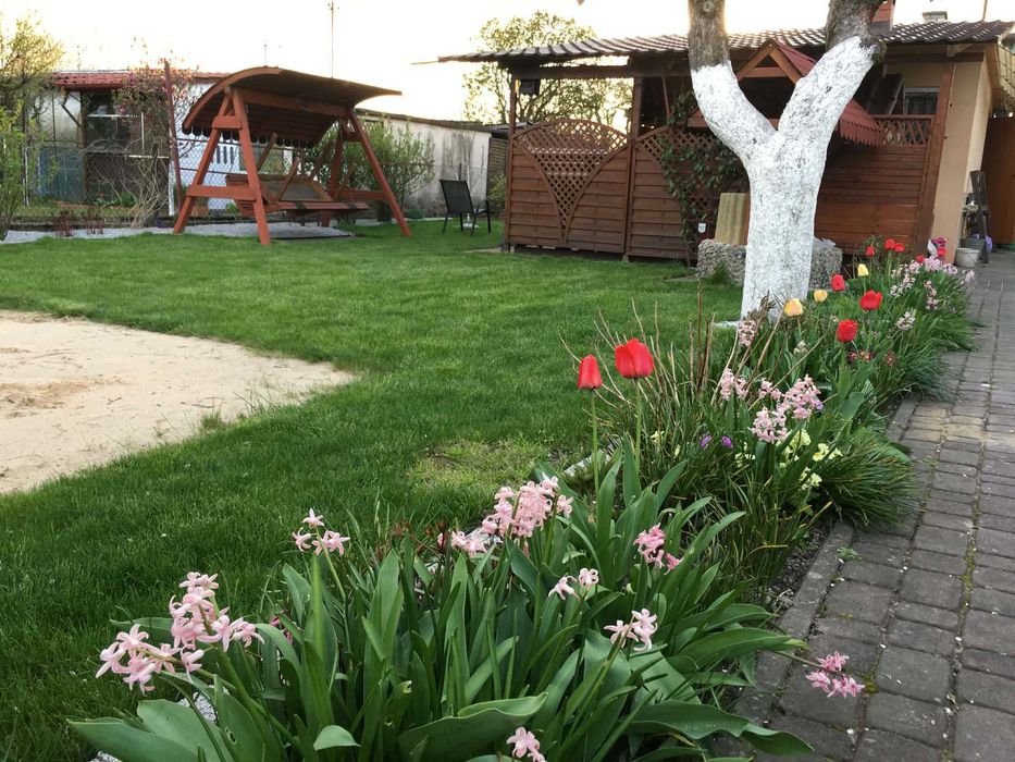 Działka ROD na sprzedaż