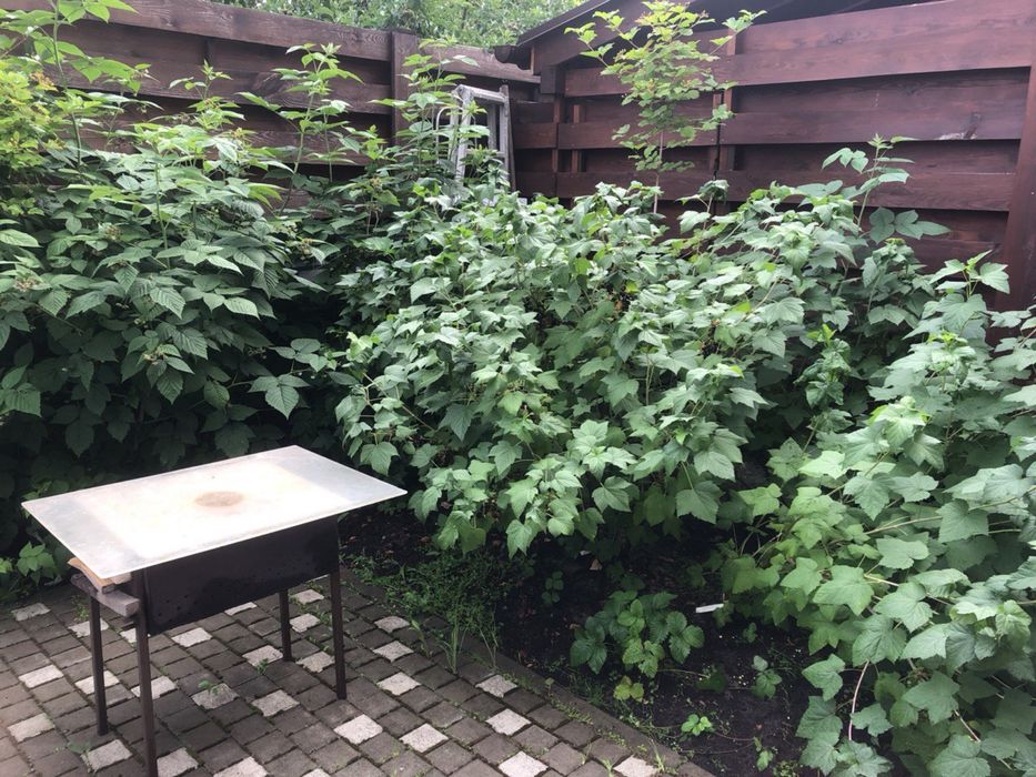 Продажа Тауна в центре Бучи