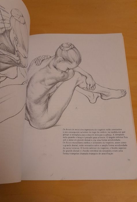 Desenho Anatómico de Louise Gordon
de Louise Gordon