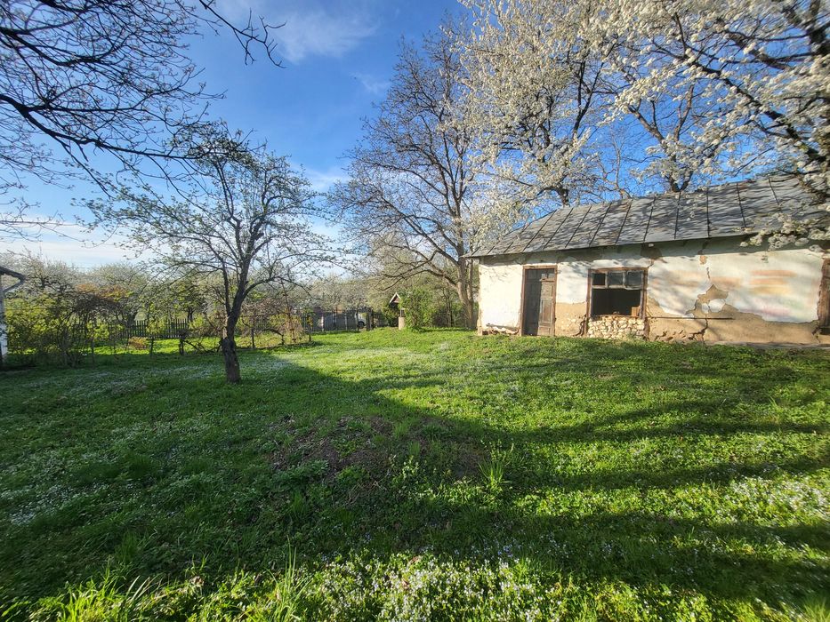 Будинок в житловому стані, с. Милування, біля Тисмениці