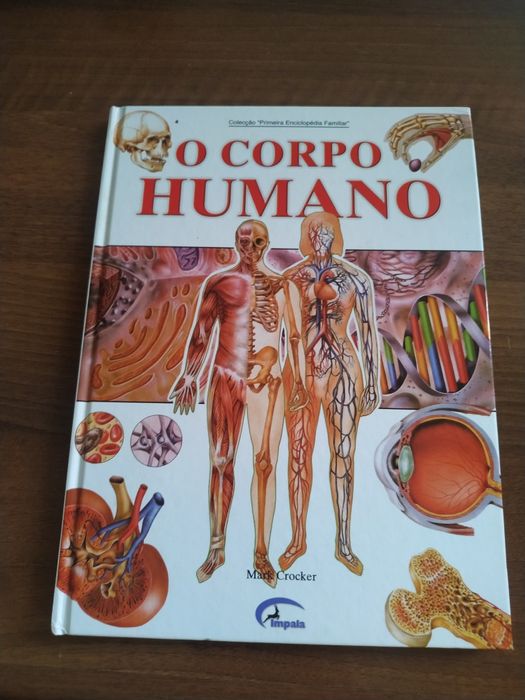 Vários livros infantis e juvenis