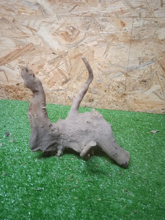 Korzeń do akwarium Red Moore Wood nr 492 o wymiarach 19/15/17