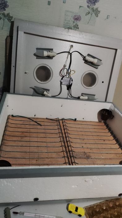 Инкубаторы для птиц