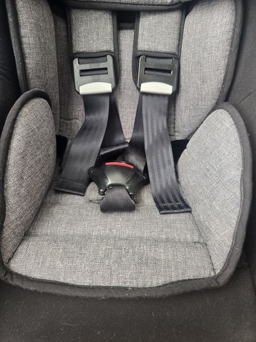 Cadeira Auto Orion da Giordani