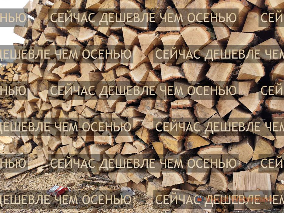 Дрова різних порід без передоплати - гарантія якості та економії!